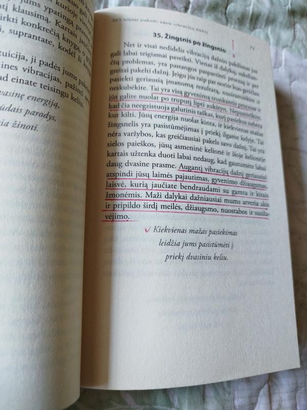 365 būdai pakelti savo vibracijų dažnį - Melissa Alvarez, knyga 4