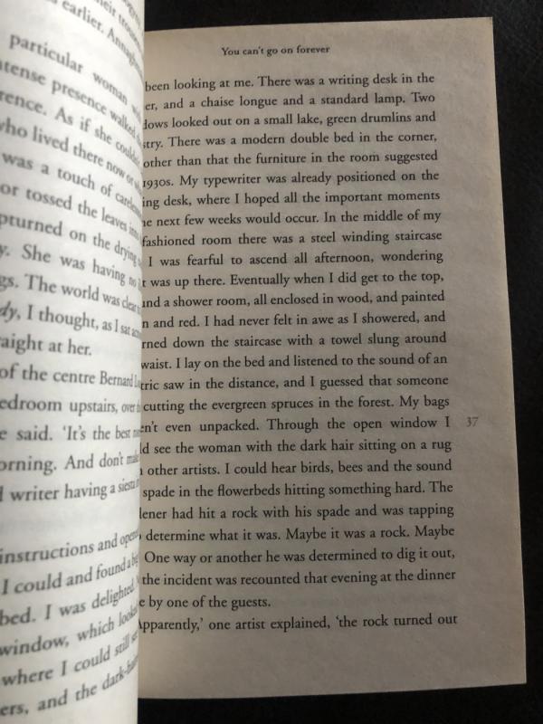 Staring at Lakes: A Memoir of Love, Melancholy and Magical Thinking - Michael Harding, knyga 3