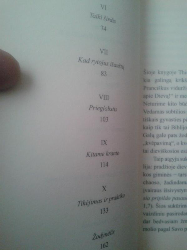 Gyvasis Buda, gyvasis Kristus - Thich Nhat Hanh, knyga 5