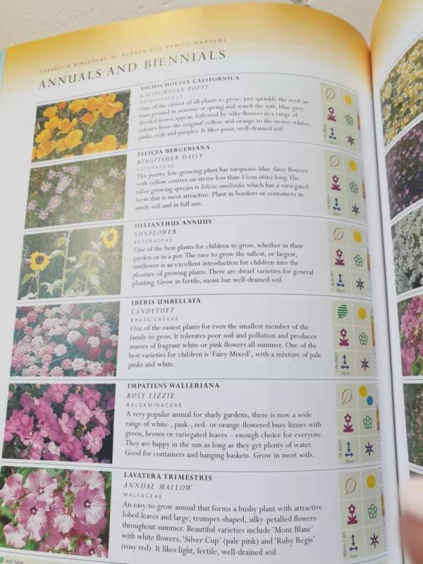 Cassell's Dictionary of Plants for Family Gardens - Lucy Huntington, knyga 5