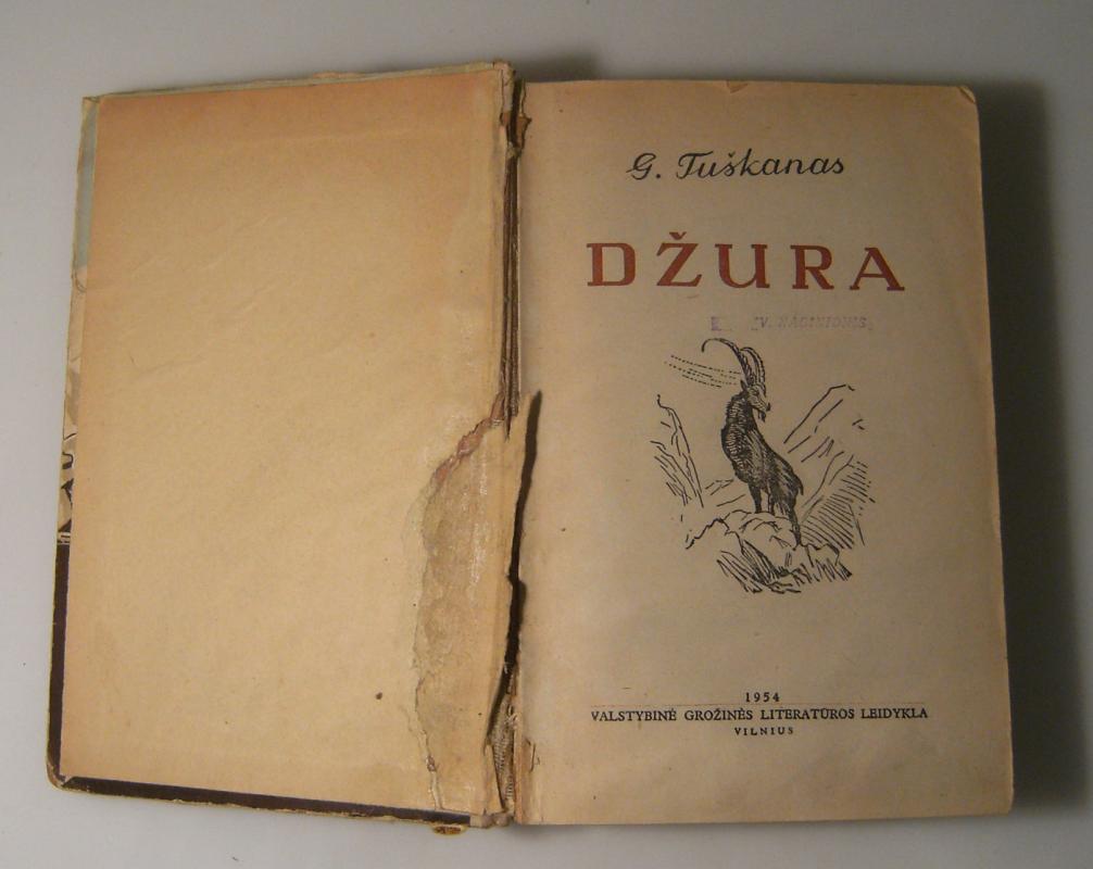 Džura - G. Tuškanas, knyga 6