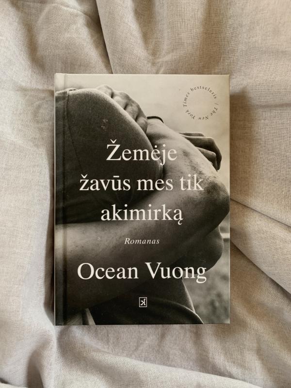 Žemėje žavūs mes tik akimirką - Ocean Vuong, knyga 2