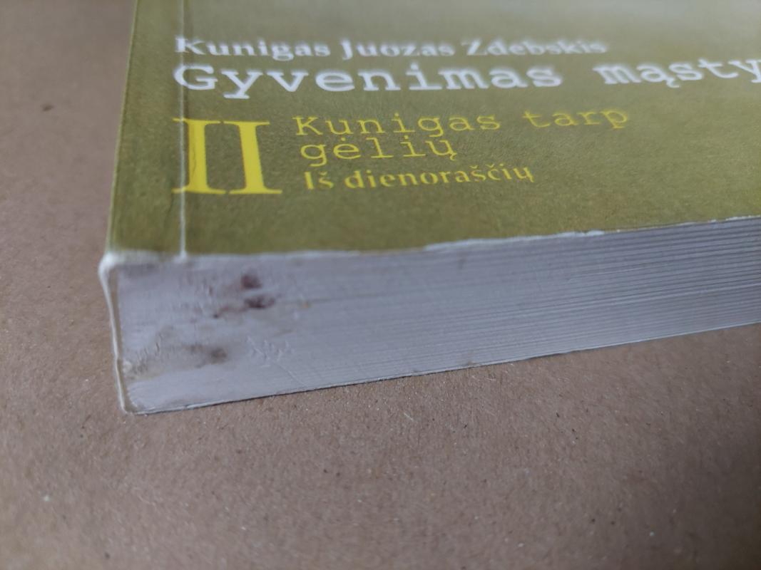 Gyvenimas mąstymuose. 2 knyga: Kunigas tarp gėlių. Iš dienoraščių - Juozas Zdebskis, knyga 3