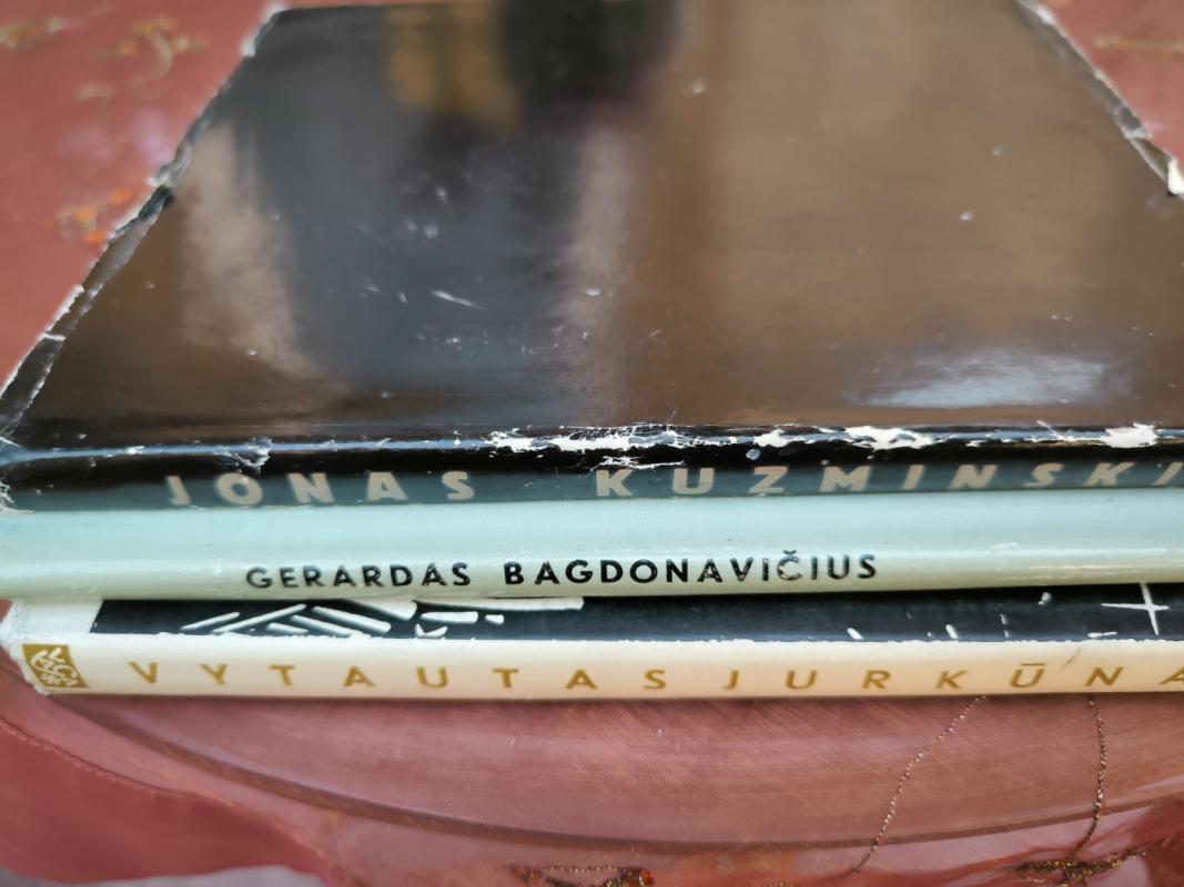 Gerardas Bagdonavičius - Jonas Sidaravičius, knyga 4