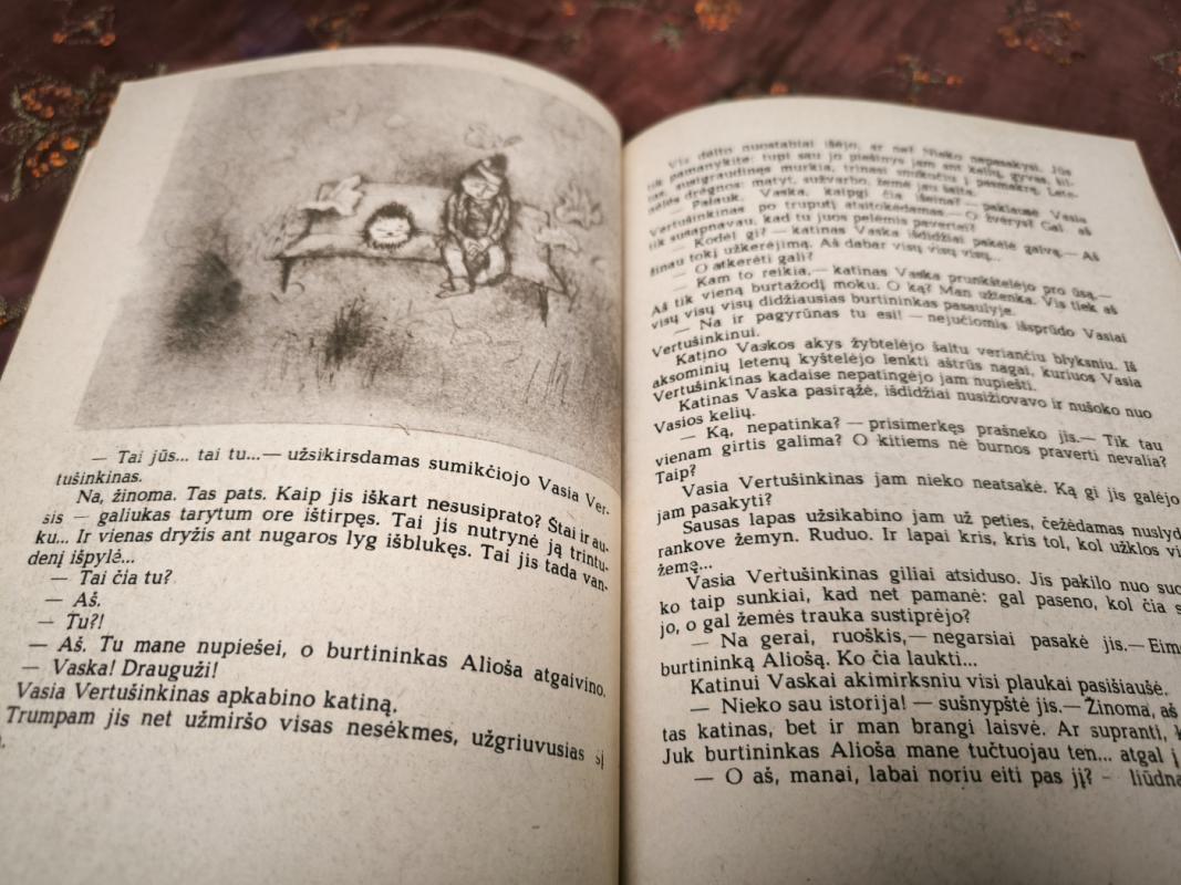 Burtininko mokinys - Sofja Prokofjeva, knyga 3