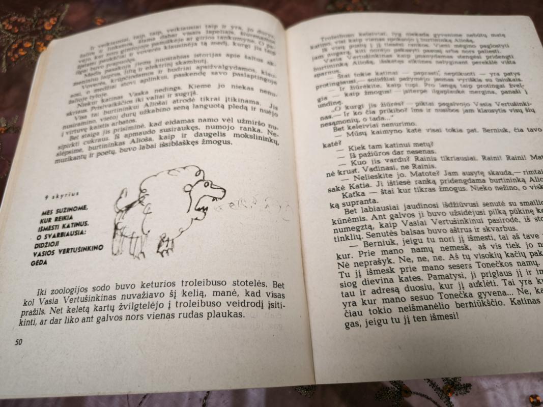 Burtininko mokinys - Sofja Prokofjeva, knyga 4