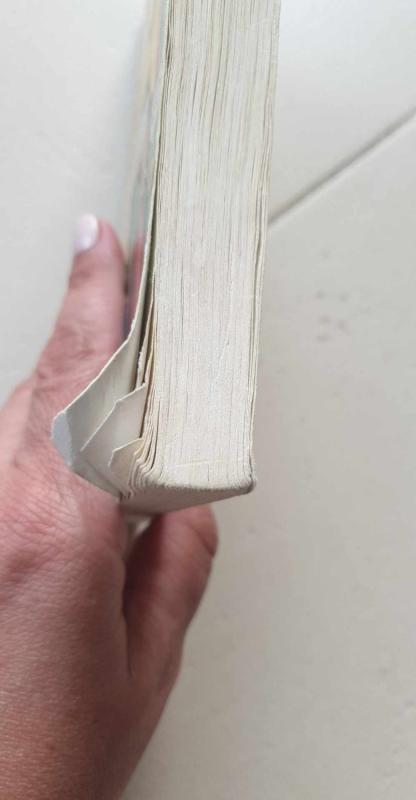 Horrible Histories Wicked Words - Terry Deary, knyga 6