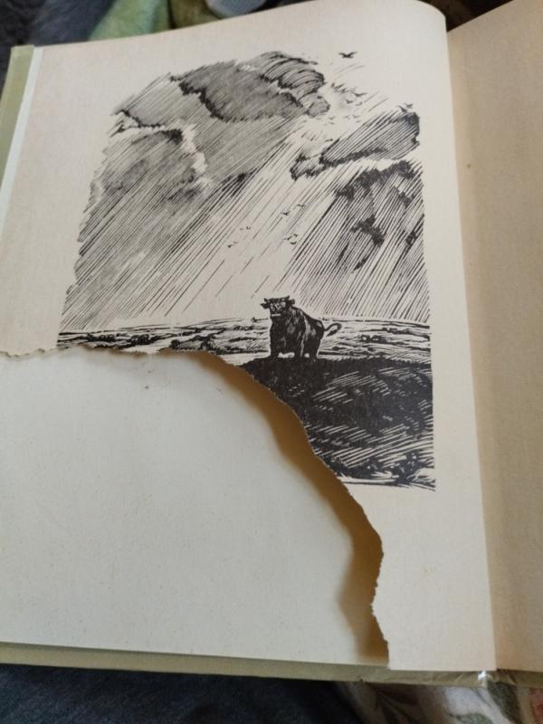 Žemė maitintoja - Petras Cvirka, knyga 3