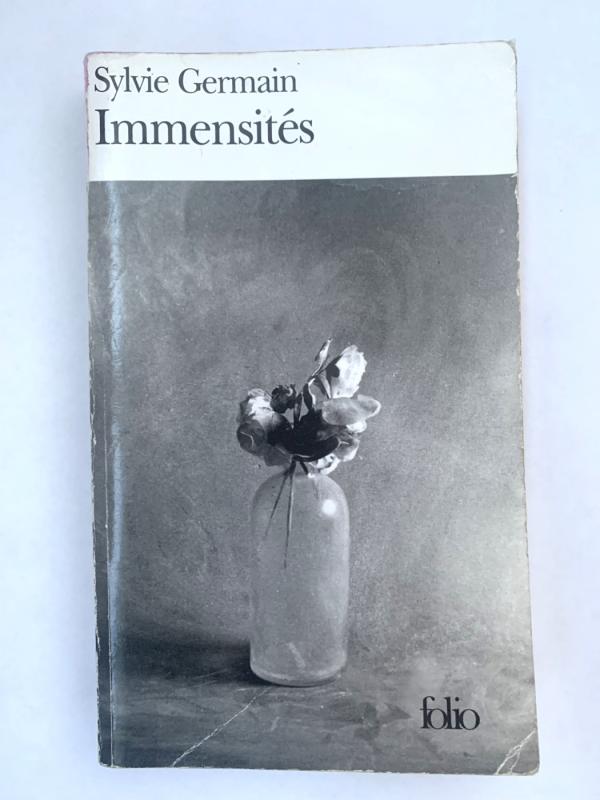 Immensités - Sylvie Germain, knyga 2