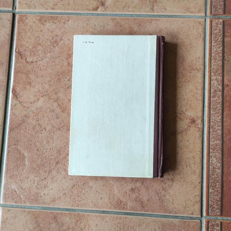 Dieviškasis maestro - Arnaldas Frakarolis, knyga 6