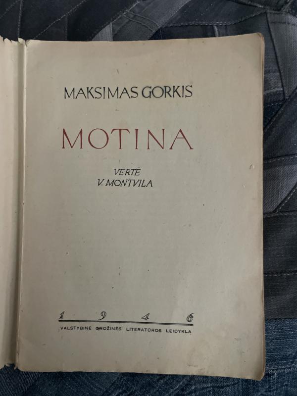 Motina - Maksimas Gorkis, knyga 4