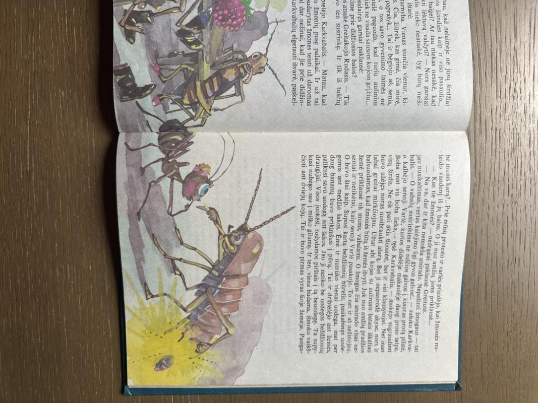 Skruzdėlytės Greitutės nuotykiai - Vytautas Tamulaitis, knyga 3