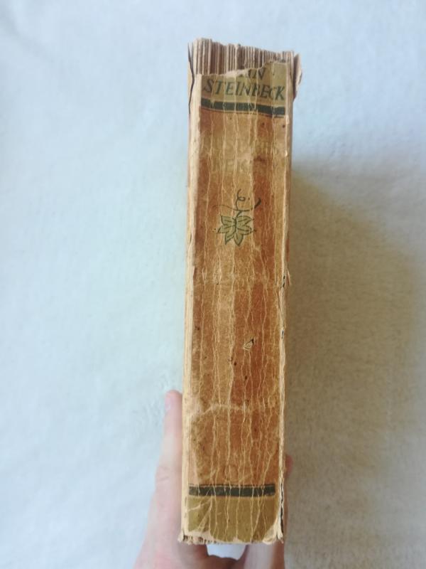 Rūstybės kekės - Džonas Steinbekas, knyga 4