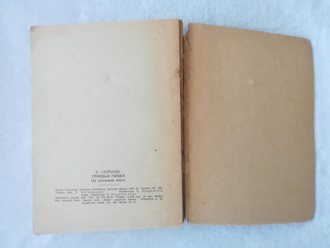 Rūstybės kekės - Džonas Steinbekas, knyga 6