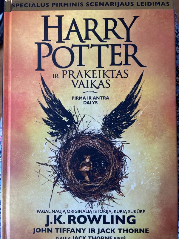 Harry Potter ir prakeiktas vaikas - J.K. Rowling, knyga 2