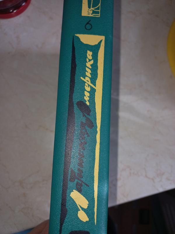 Latinskaja Amerika literaturnij almanah - Braginskaja i drugije, knyga 5