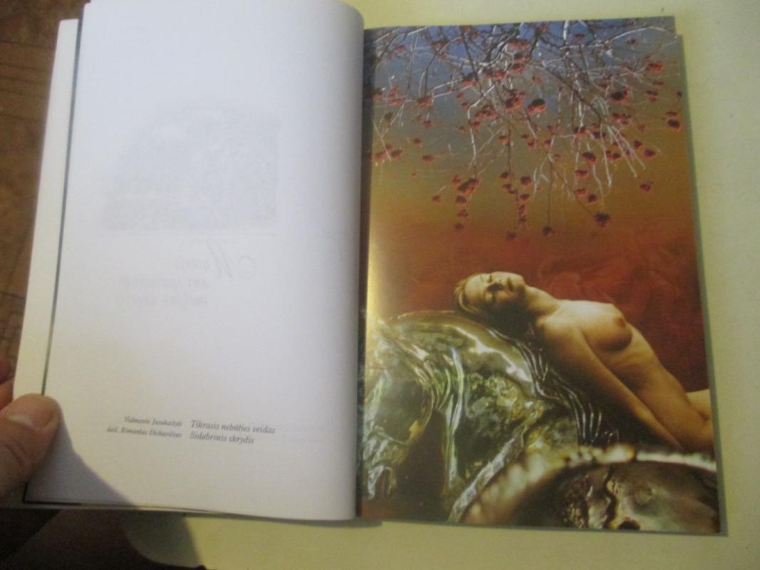 Tikrasis nebūties veidas - Vidmantė Jasukaitytė, knyga 6