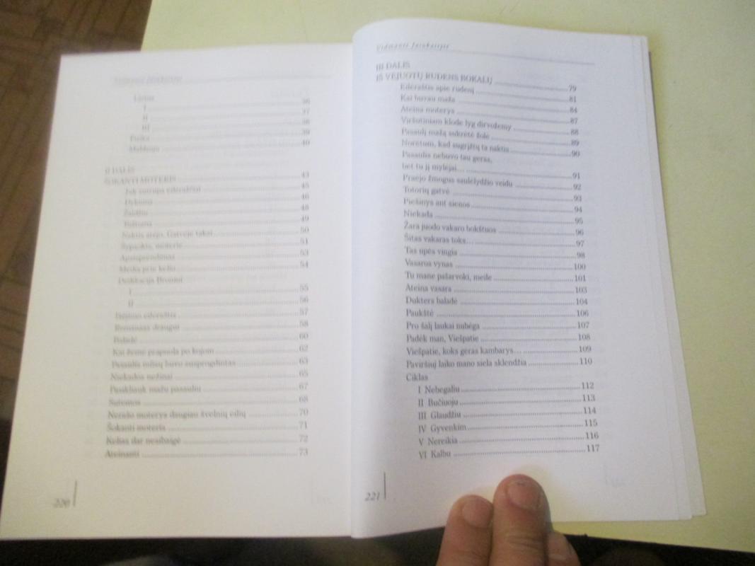 Tikrasis nebūties veidas - Vidmantė Jasukaitytė, knyga 4