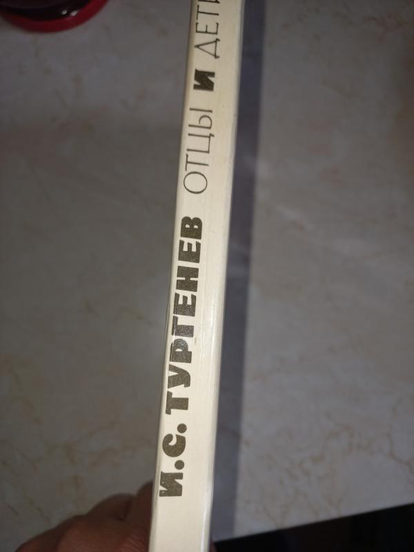 Otci i deti - I. Turgenevas, knyga 3