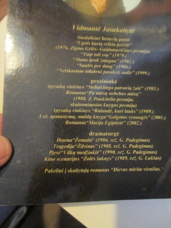 Tikrasis nebūties veidas - Vidmantė Jasukaitytė, knyga 5