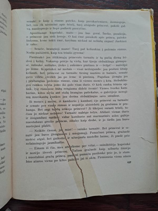 Teisybės paukštė - Autorių Kolektyvas, knyga 4