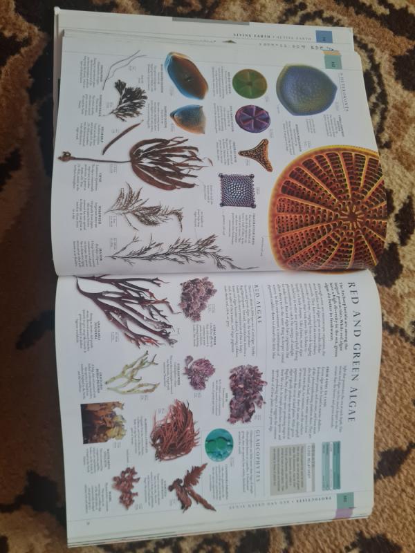 The Natural History Book - nenurodytas, knyga 4