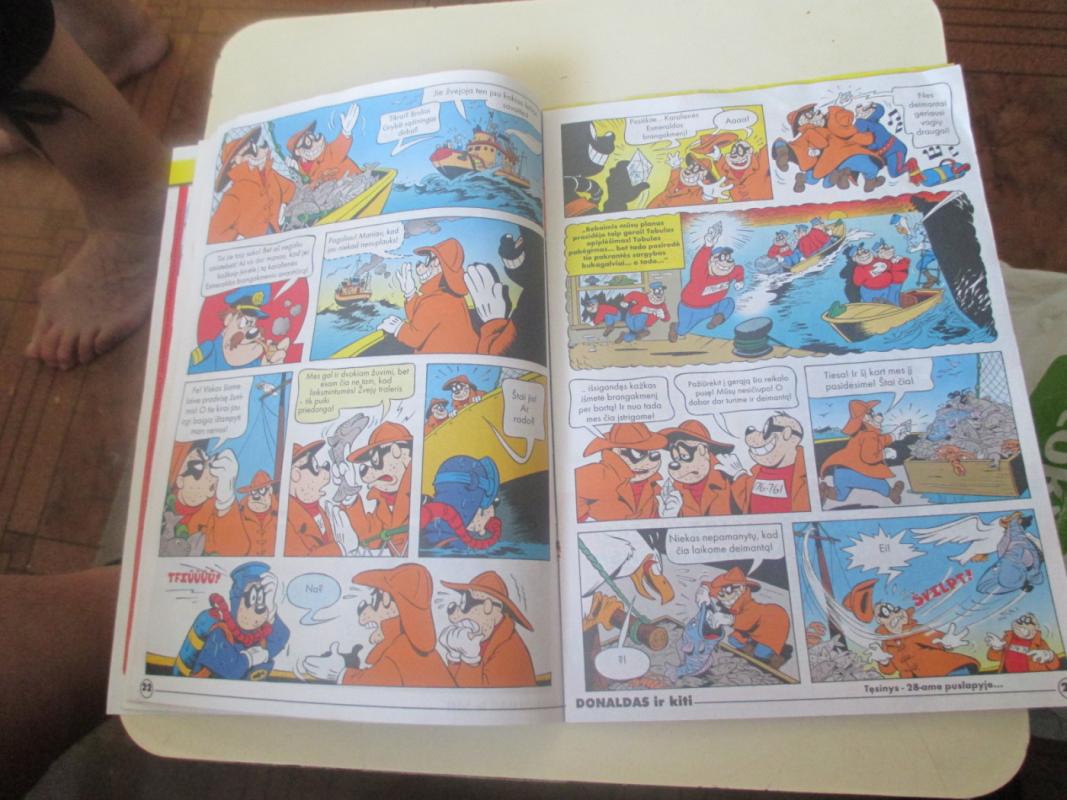 Donaldas ir kiti 2006 Nr. 13 - Autorių kolektyas, knyga 6