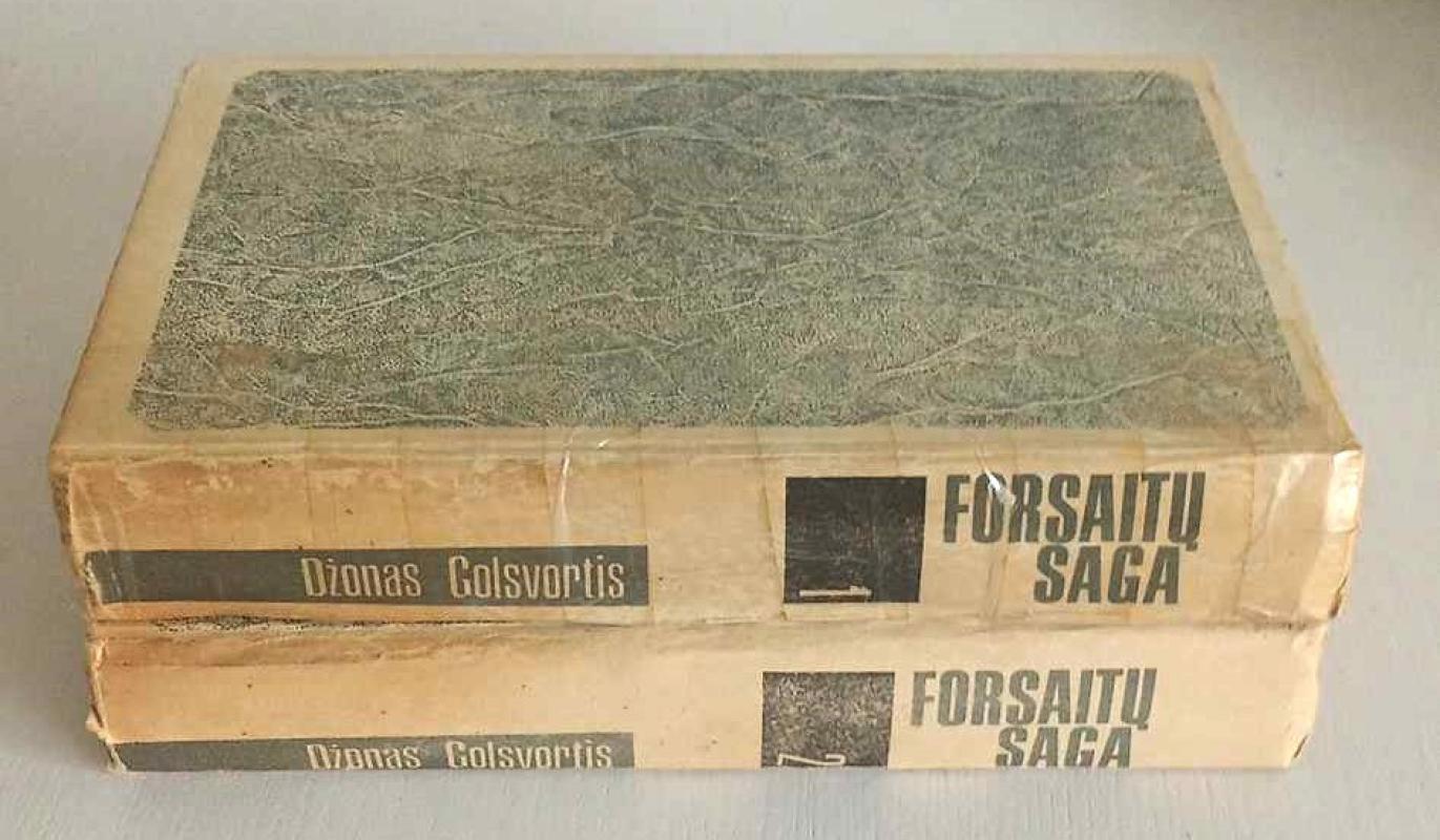Forsaitų saga (2 tomai) - Džonas Golsvortis, knyga 4