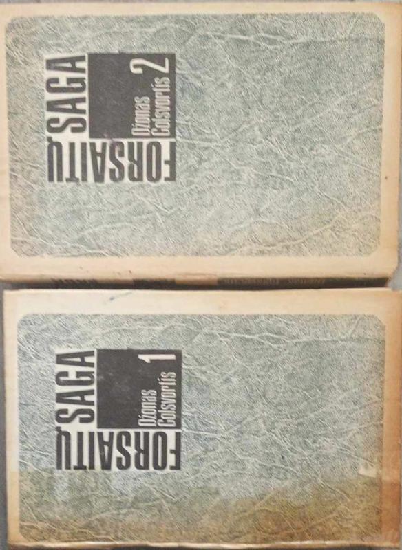 Forsaitų saga (2 tomai) - Džonas Golsvortis, knyga 2