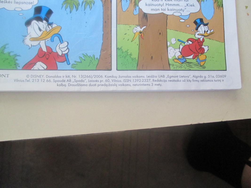 Donaldas ir kiti 2006 Nr. 13 - Autorių kolektyas, knyga 4
