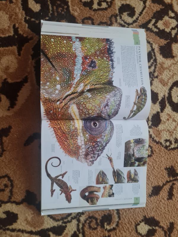 The Natural History Book - nenurodytas, knyga 3