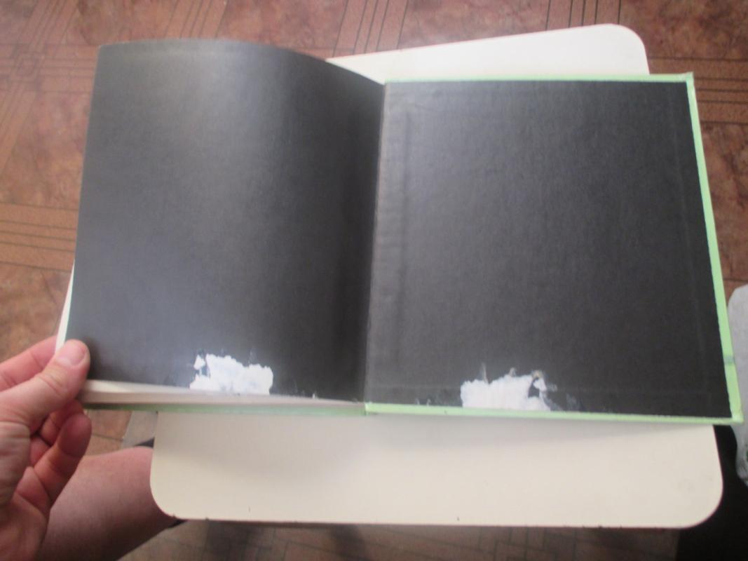 Bardo nuotykiai ir žygiai - Jonas Avyžius, knyga 4