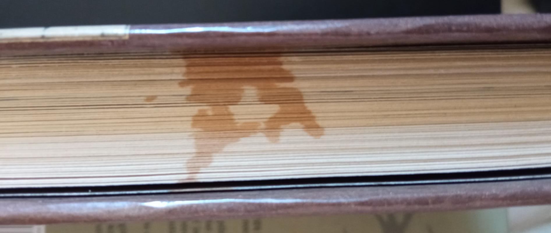 Vilniaus pilys. Statyba ir architektūra - Napoleonas Kitkauskas, knyga 4