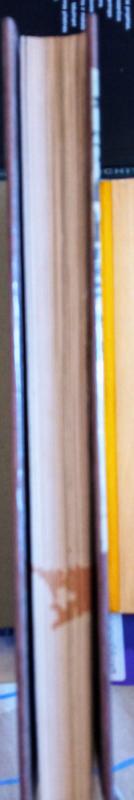 Vilniaus pilys. Statyba ir architektūra - Napoleonas Kitkauskas, knyga 3