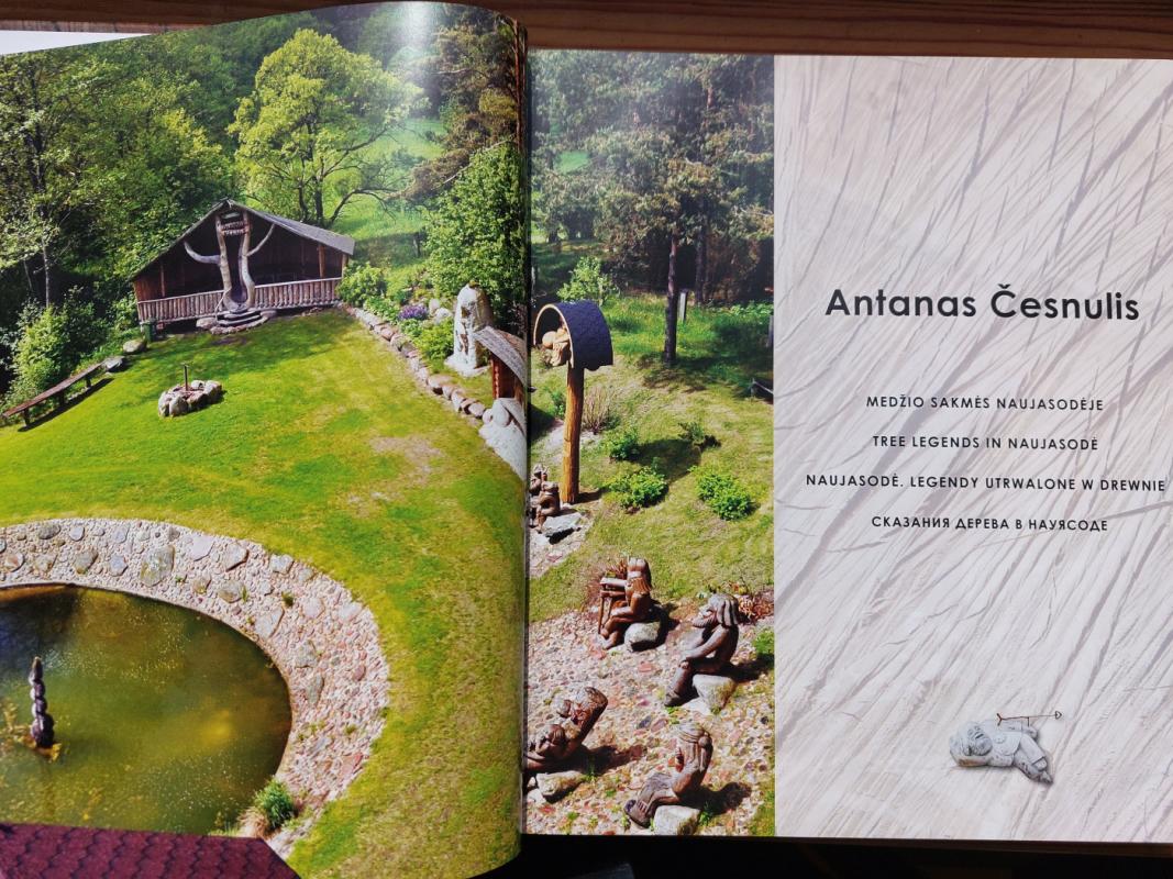 Medžio sakmės Naujasodėje - Antanas Česnulis, knyga 3