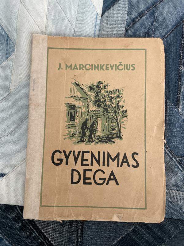 Gyvenimas dega - Jonas Marcinkevičius, knyga 2