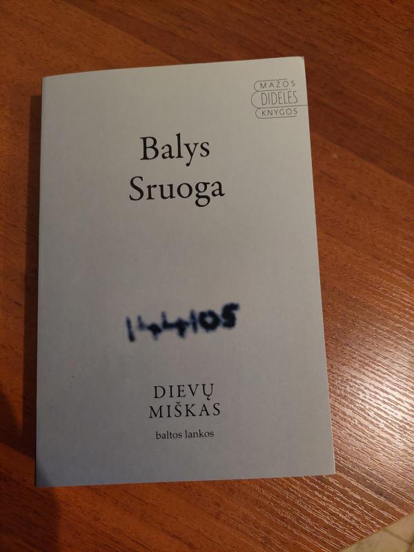 Dievų miškas - Balys Sruoga, knyga 2