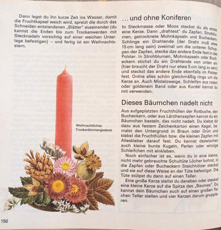 Alle meine Pflanzen-Gartenbuch für Kinder - Elisabeth Manke, knyga 4