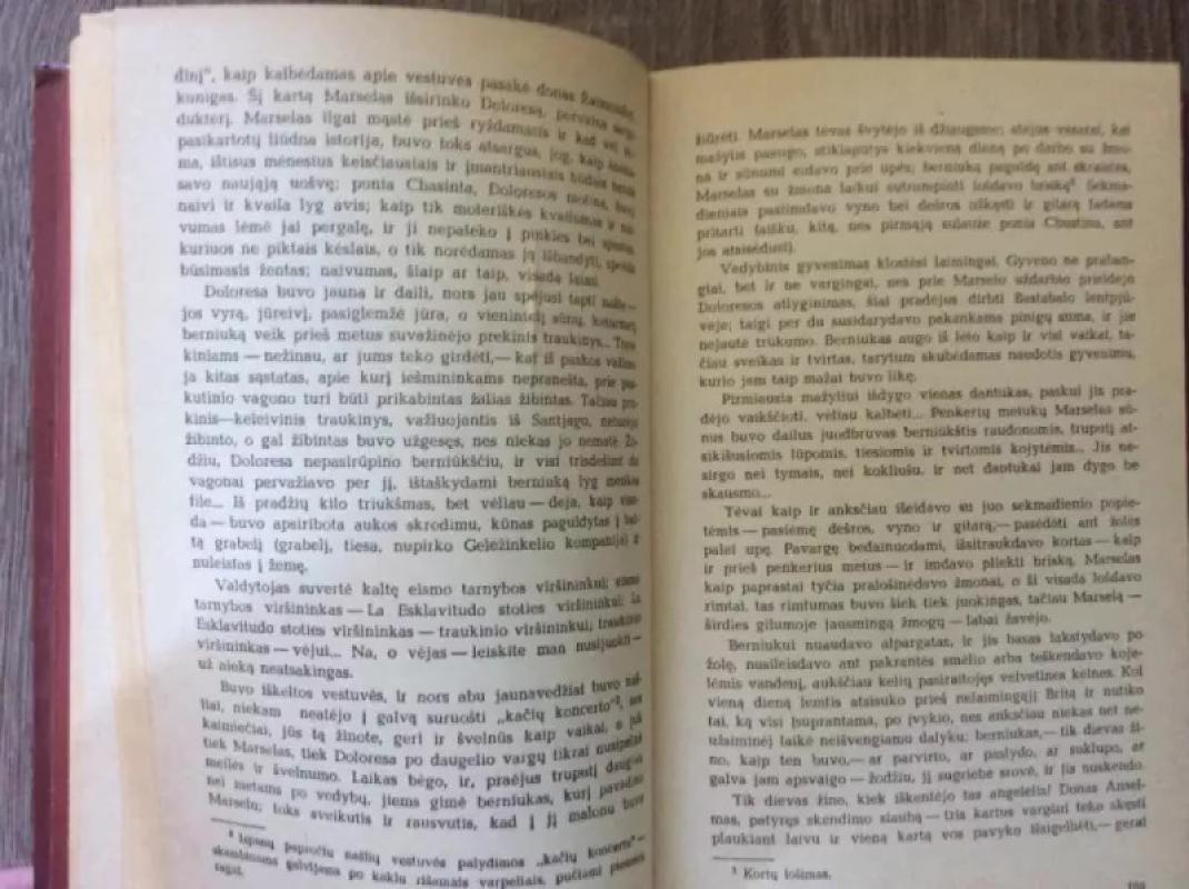 Ispanų novelės - Autorių Kolektyvas, knyga 4