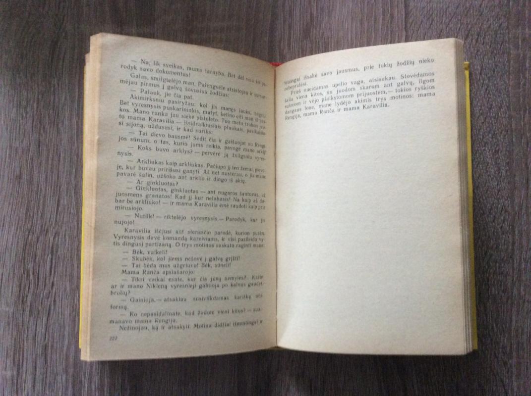 Bulgarų novelės - Autorių Kolektyvas, knyga 4