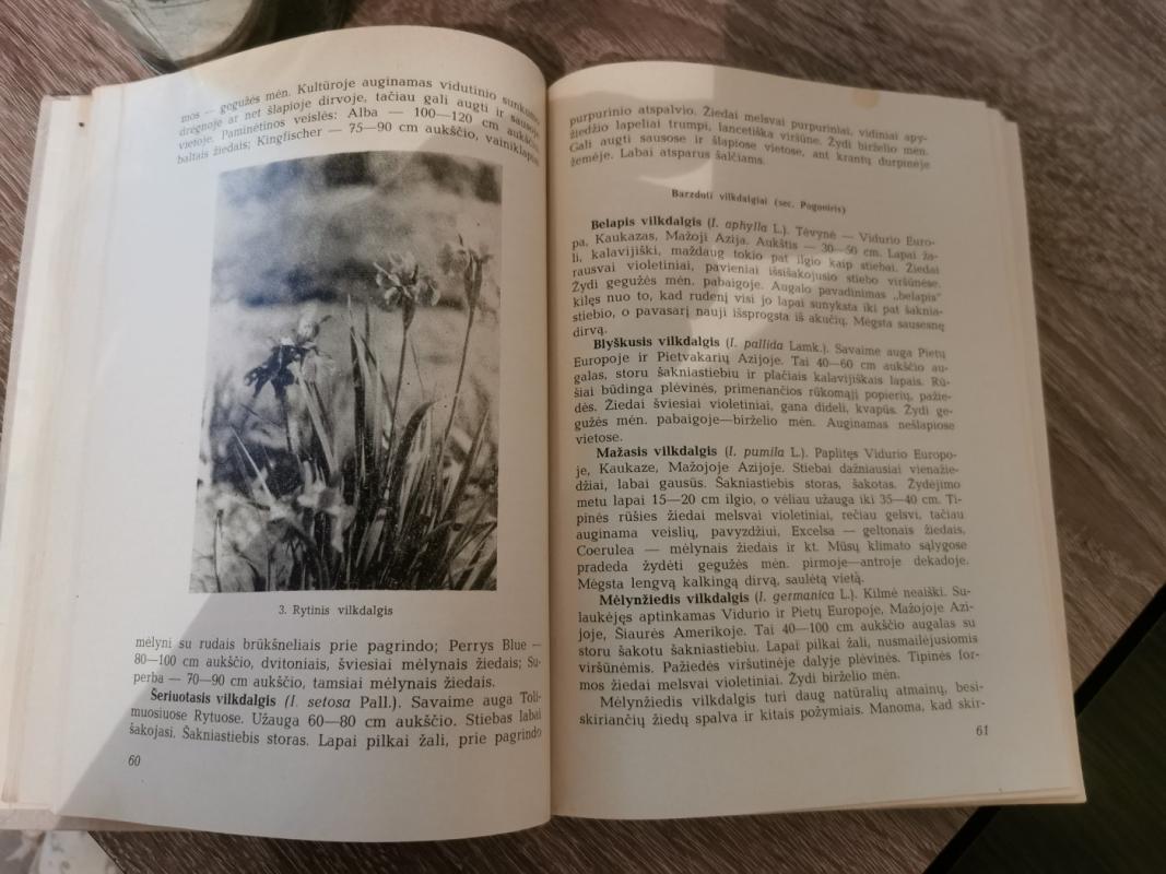 Gėlių auginimo vadovas - Atkočaitytė A. ir ir kt., knyga 5