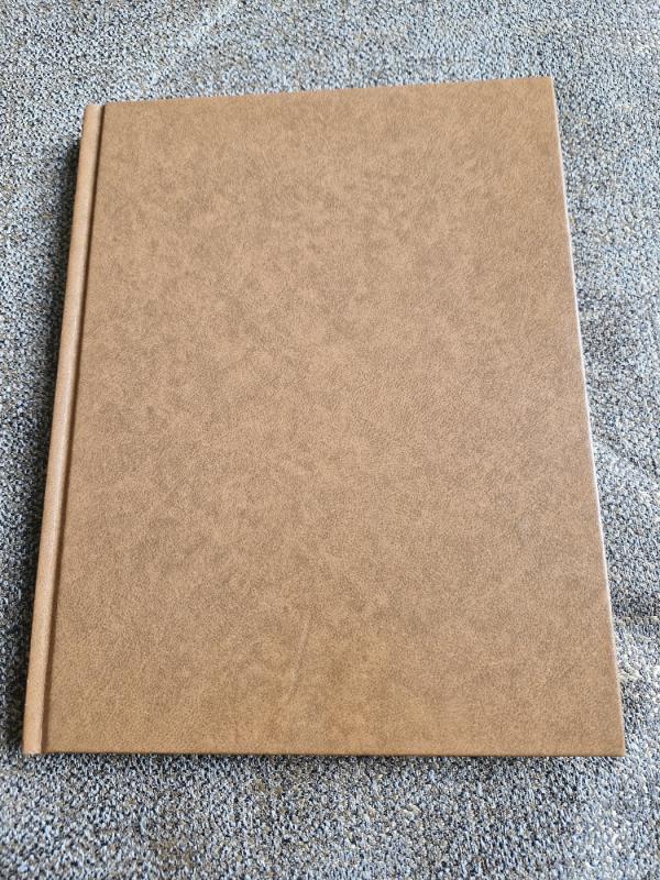 ATSIBUSKITE  2006 - AUTORIAI ĮVAIRŪS, knyga 2