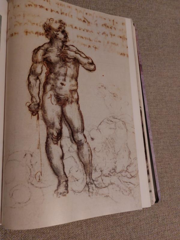 Leonardo da Vinci: The Complete Paintings and Drawings - Frank Zollner, knyga 3