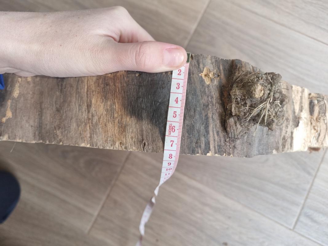 Staliukui - , namai ir interjeras 5