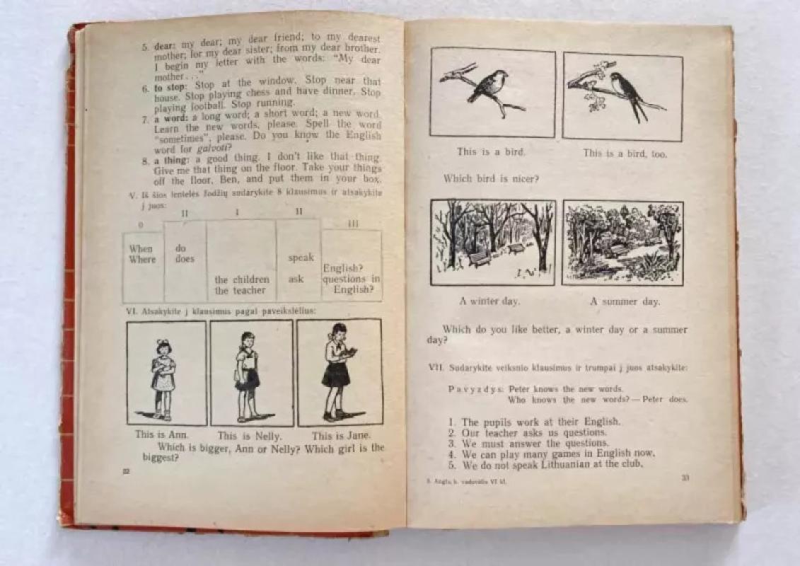 ENGLISH - Anglų kalbos vadovėlis VI klasei - Autorių kolektyas, knyga 5