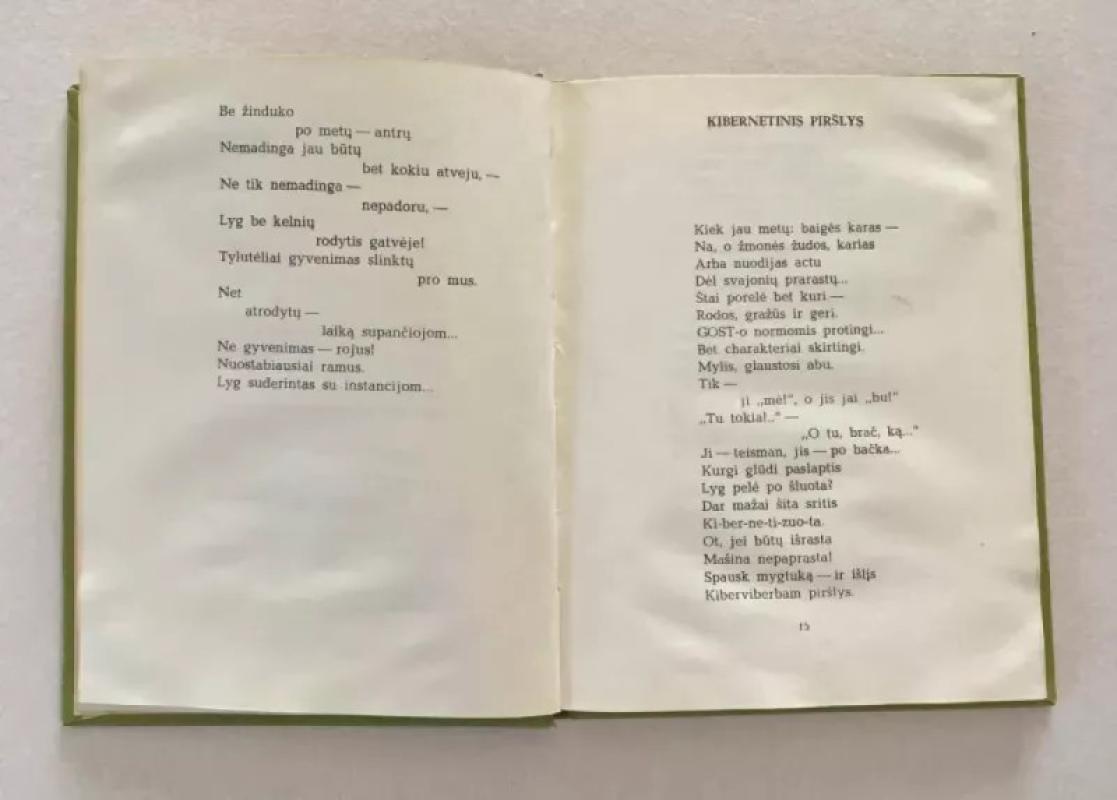 Kibernetija - Gediminas Astrauskas, knyga 4