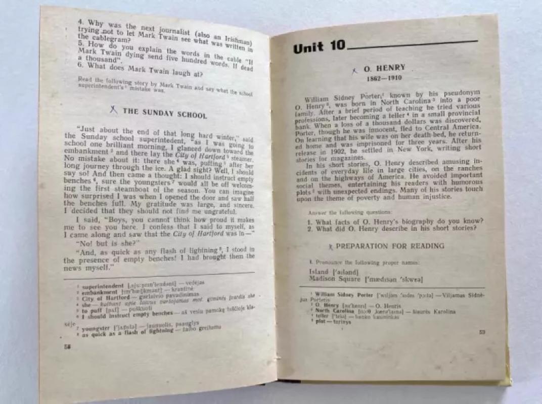 Įdomieji amerikiečių literatūros puslapiai - Izolda Genienė, knyga 6