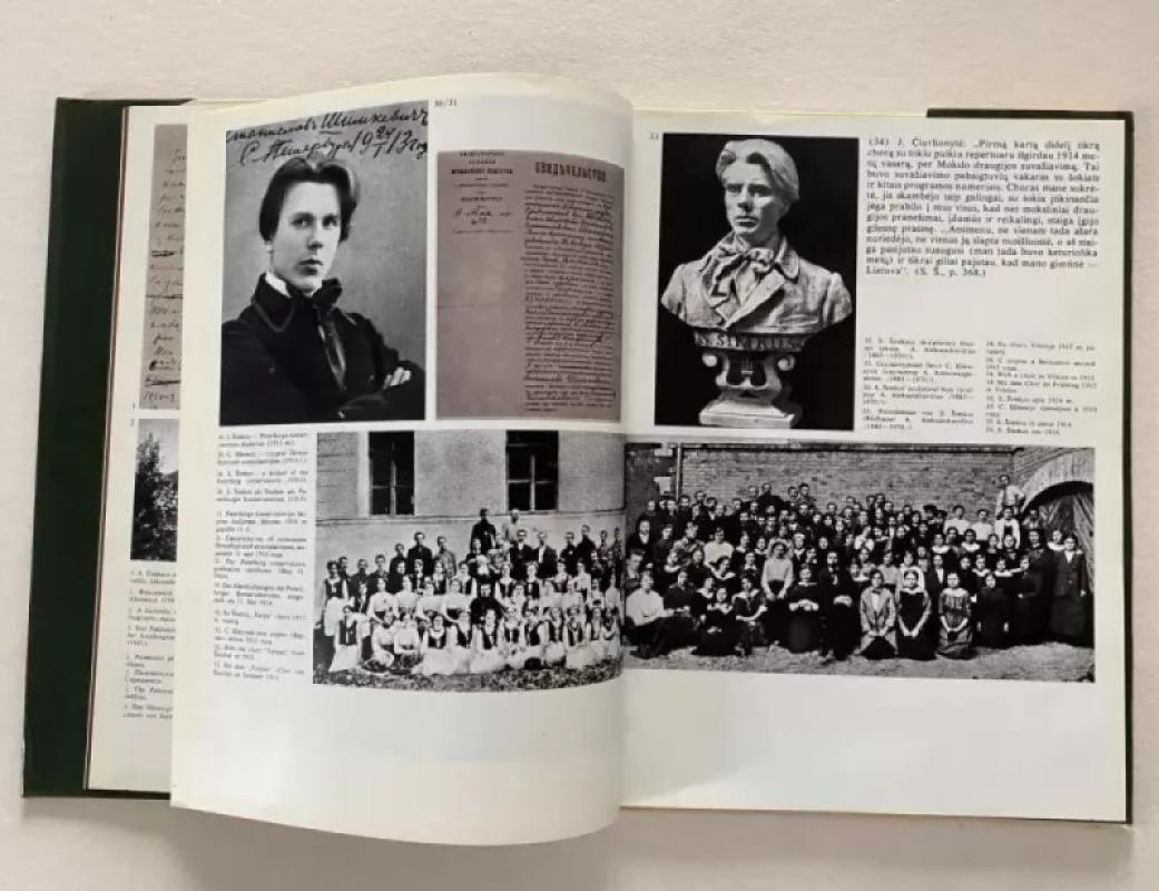 Stasys Šimkus - D. Palionytė, knyga 6