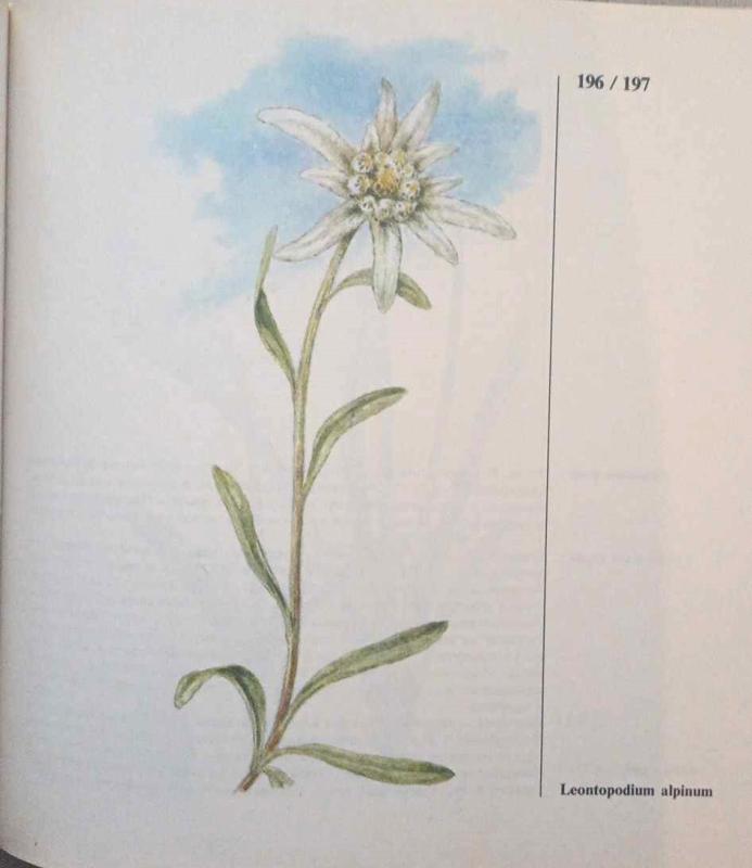 Alpinariumas tavo sode - Autorių kolektyas, knyga 5