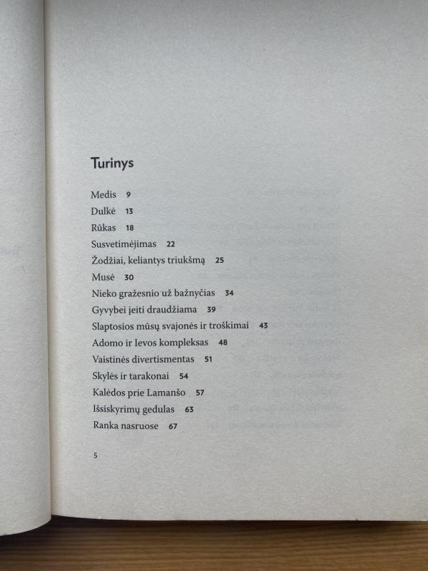 Sraigė su beisbolo lazda - Sigitas Parulskis, knyga 4